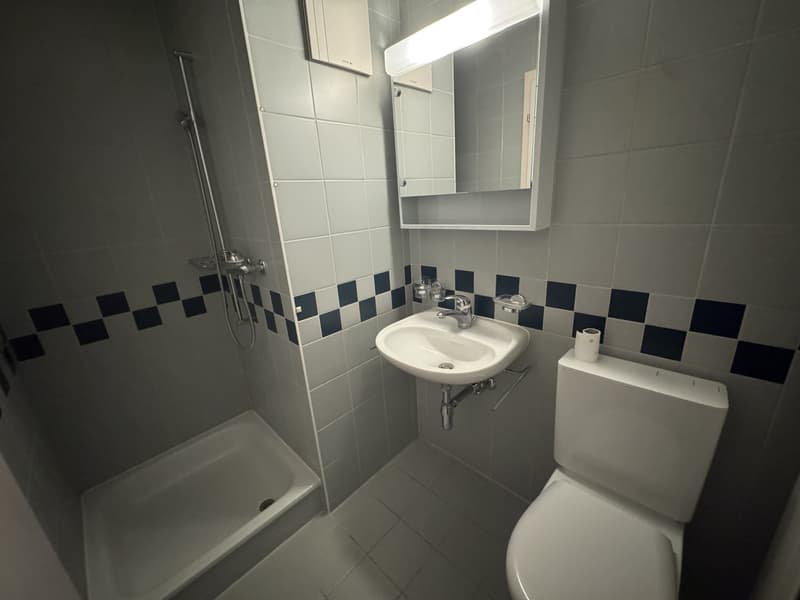 02507 - Appart. 3½ PCES - RUE LOCARNO 2 - FRIBOURG (8)