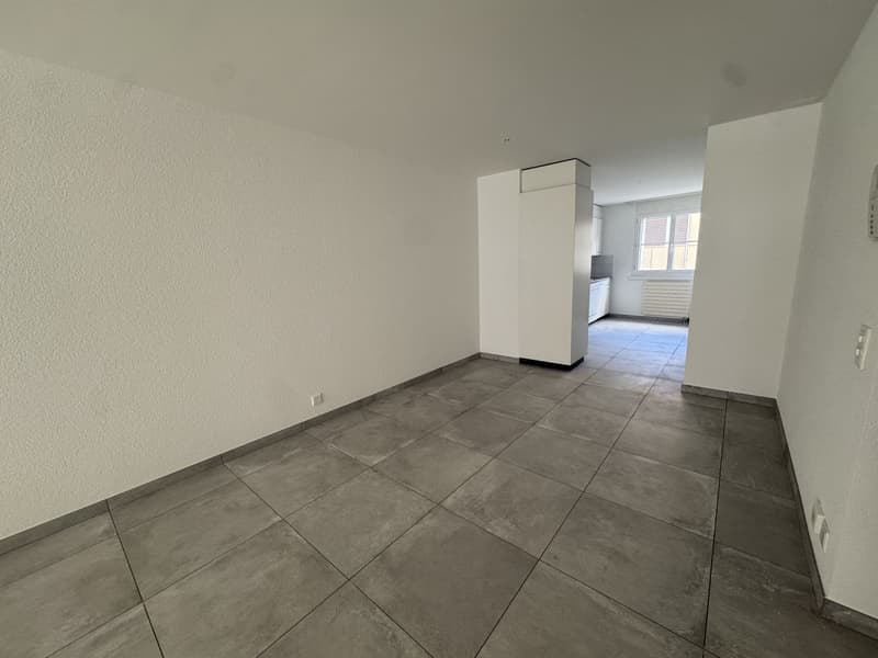 02507 - Appart. 3½ PCES - RUE LOCARNO 2 - FRIBOURG (1)