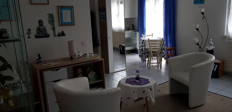 02508 - Studio 1 PCE - RUE LOCARNO 2 - FRIBOURG (1)
