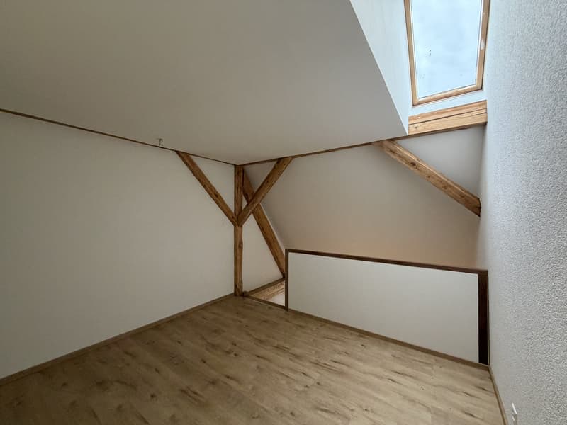 01610 - Duplex 1 PCE - CH. ECOLIERS 5 - BELFAUX (3)