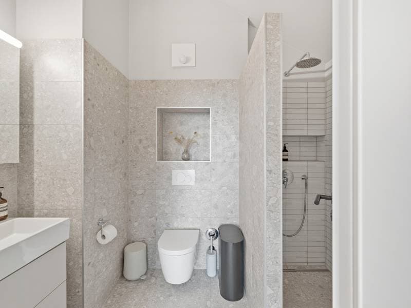Appartement epoustouflant - Morges (8)