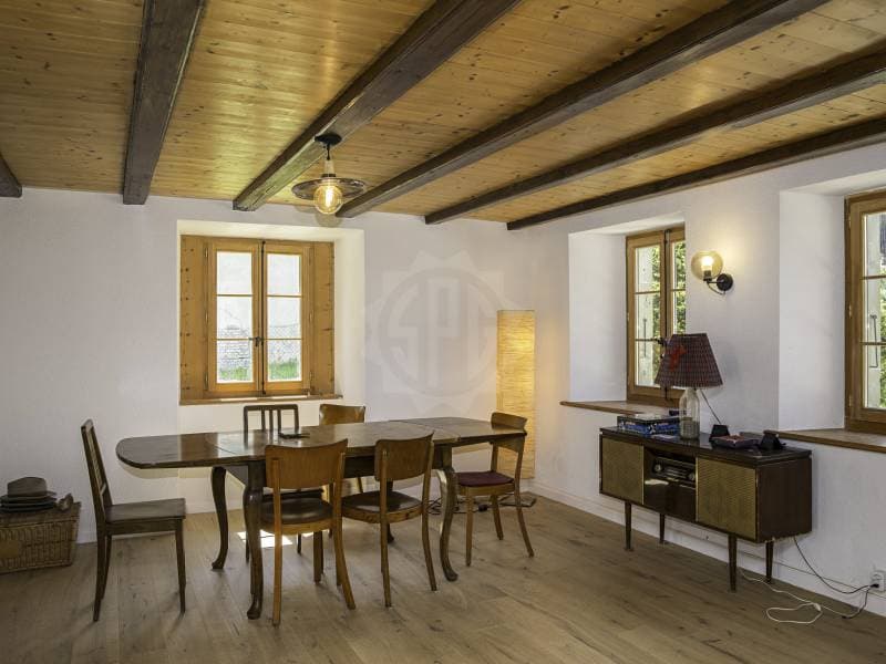 Villa atypisch - Moudon (4)