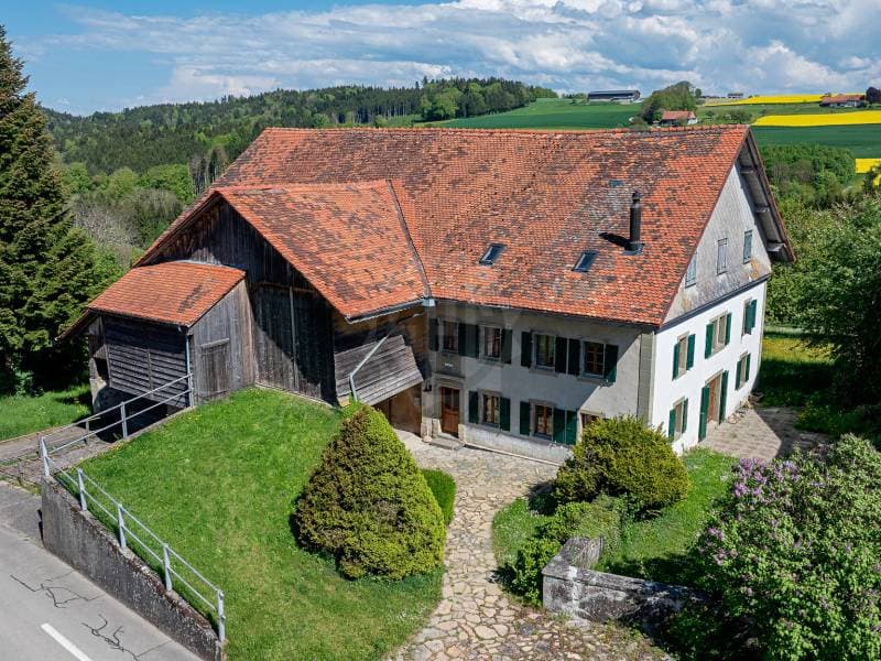 Villa atypisch - Moudon (1)
