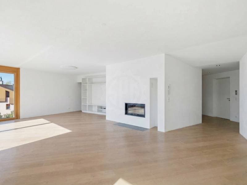 Magnificent apartment - Lutry (6)