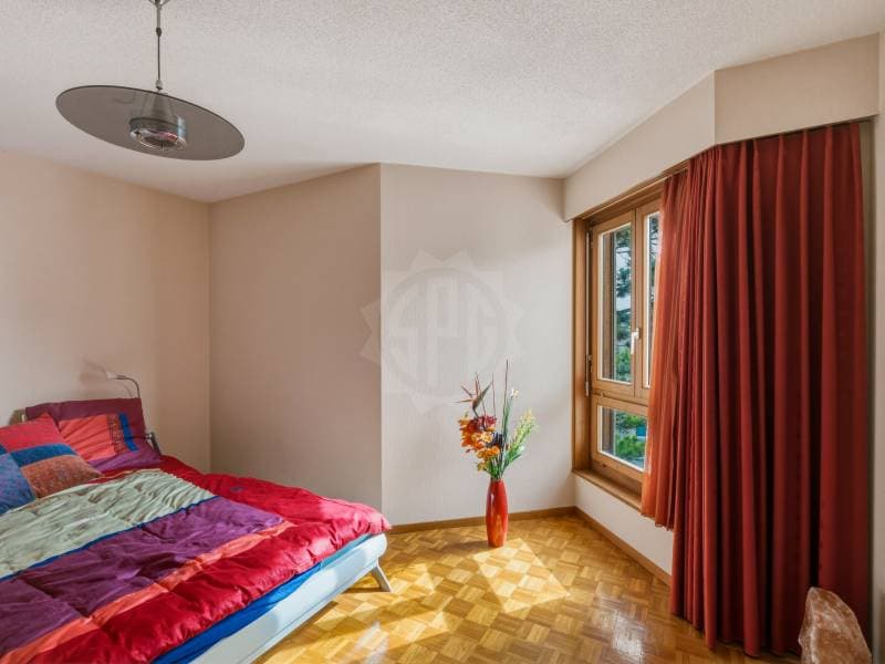 Charming apartment - Corsier-sur-Vevey (5)