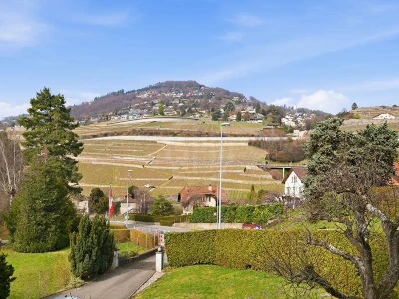 Charming apartment - Corsier-sur-Vevey (9)