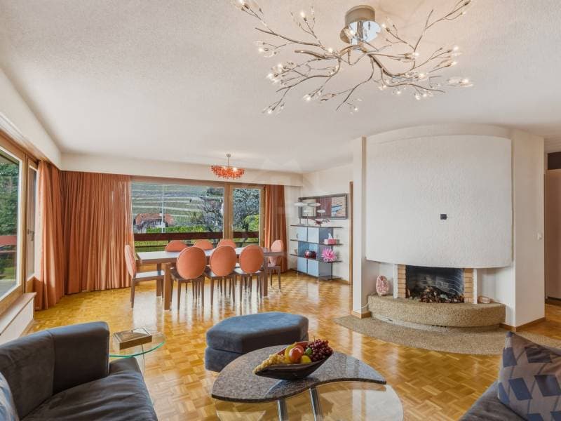 Charming apartment - Corsier-sur-Vevey (3)