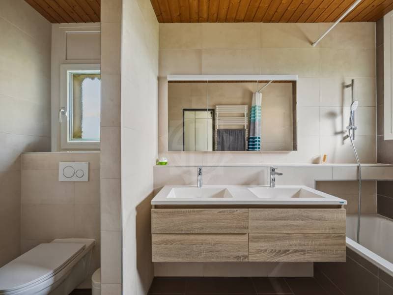 Cozy villa - Cossonay-Ville (5)