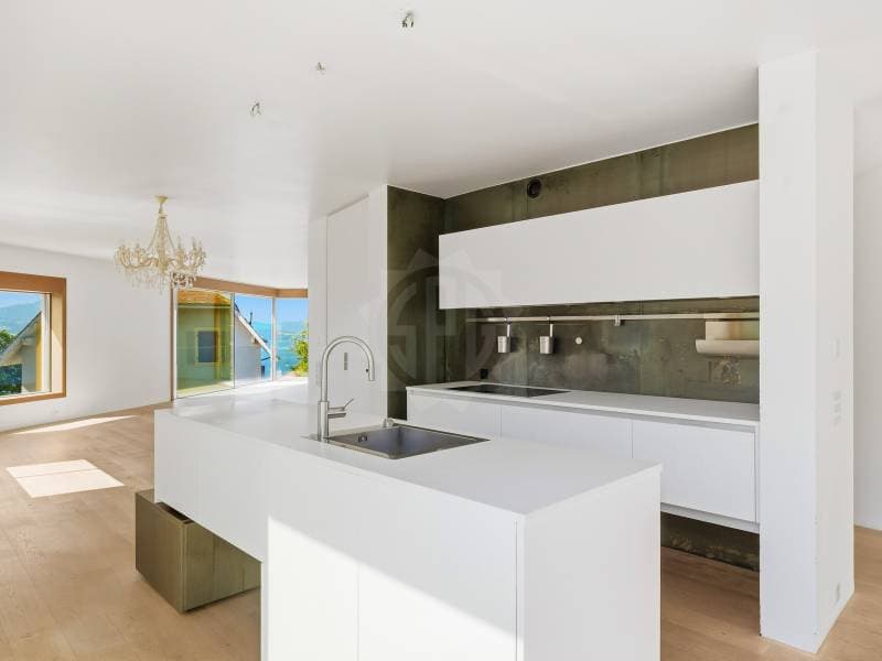 Magnificent apartment - Lutry (5)