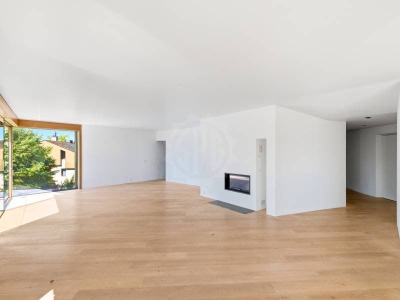 Magnificent apartment - Lutry (6)