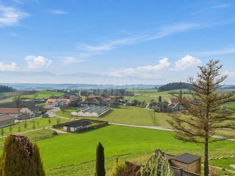 Chaleureuse villa - Cossonay-Ville (4)