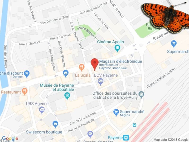 Showcase in the center of Grand-Rue in Payerne (4)