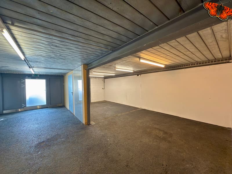 Superficie mista: commerciale e di stoccaggio! (7)