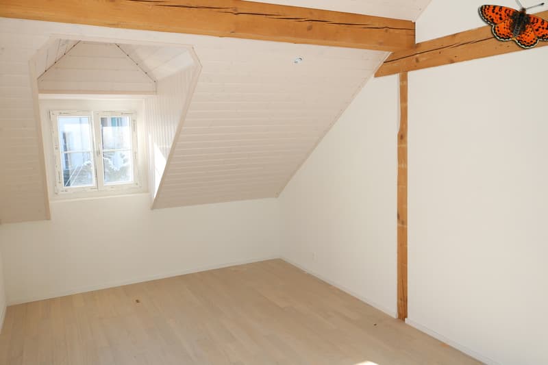 Luminoso 2½ con fascino e terrazza di 59m²! (5)