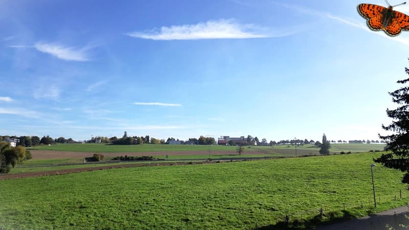 vue depuis le 1er étage