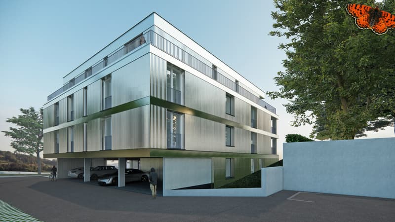Magnifique 4½ pièces en rez-de-jardin avec terrasse de 44 m² (6)