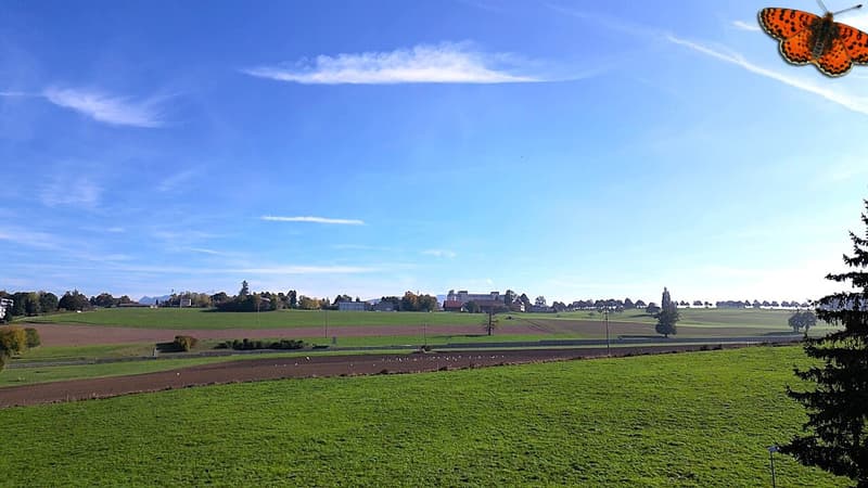Vue depuis le 2éme étage