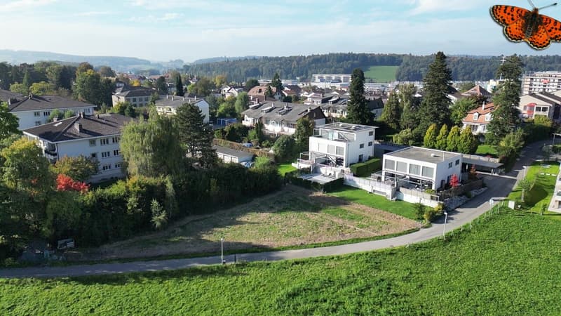 Vue sur la parcelle