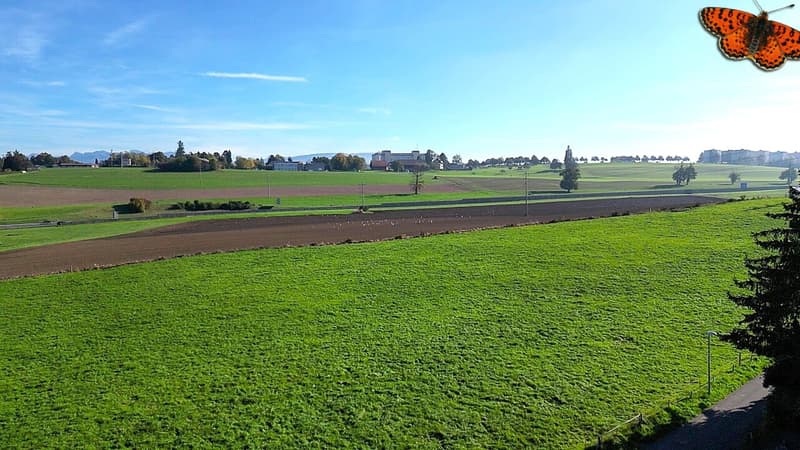 Vue depuis l'attique
