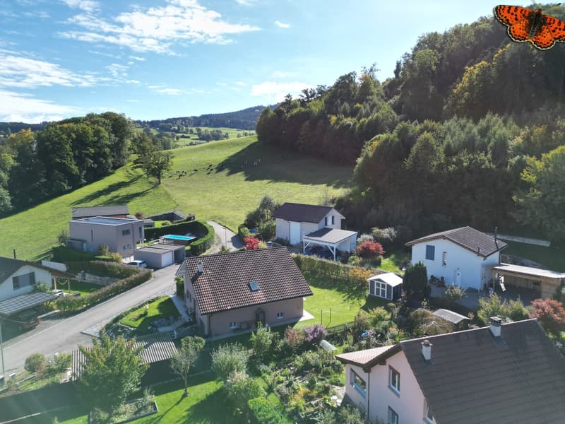 OPPORTUNITÀ: Casa indipendente con grande potenziale su grande parcelle (10)