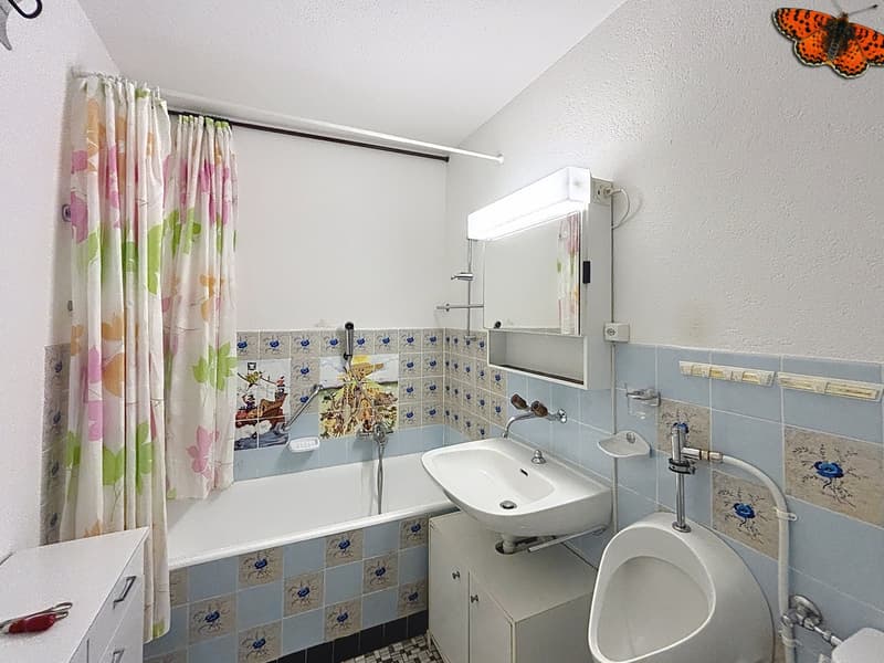 OPPORTUNITÀ: Casa indipendente con grande potenziale su grande parcelle (9)