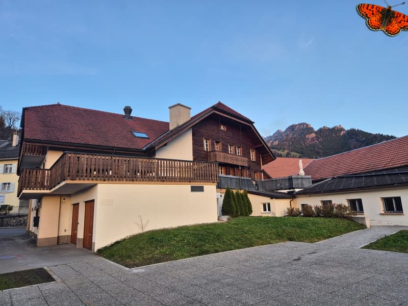 SURFACE COMMERCIALE 65 M² - CHARMEY (1)