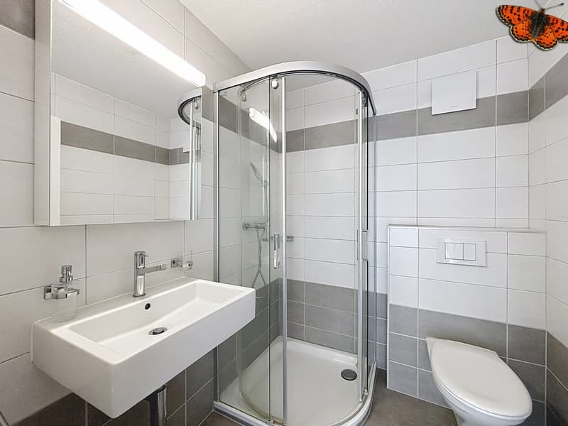 Bellissimo 3,5 locali in attico con terrazza di 51,7 m2 (12)
