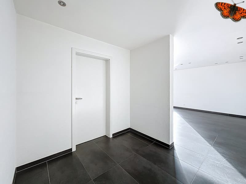 Bellissimo 3,5 locali in attico con terrazza di 51,7 m2 (5)