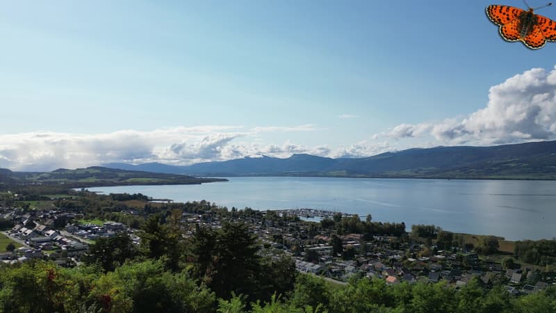 Lumineux 3½ pièces de 117 m² à Châbles avec vue sur le lac ! (2)