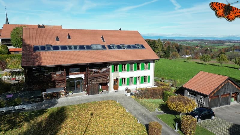 Spacieux 3,5 pièces rénové à Villarsiviriaux (9)