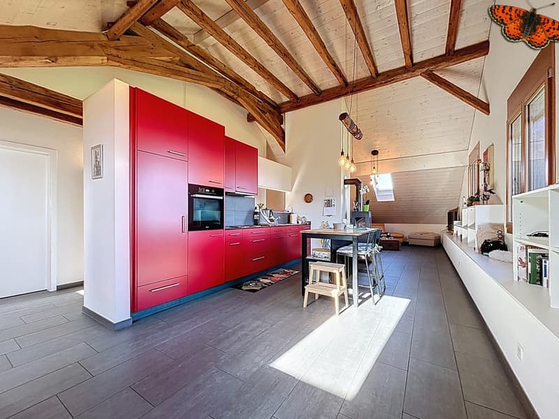 Spacieux 3,5 pièces rénové à Villarsiviriaux (4)
