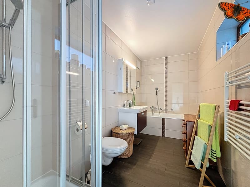 Spacieux 3,5 pièces rénové à Villarsiviriaux (7)