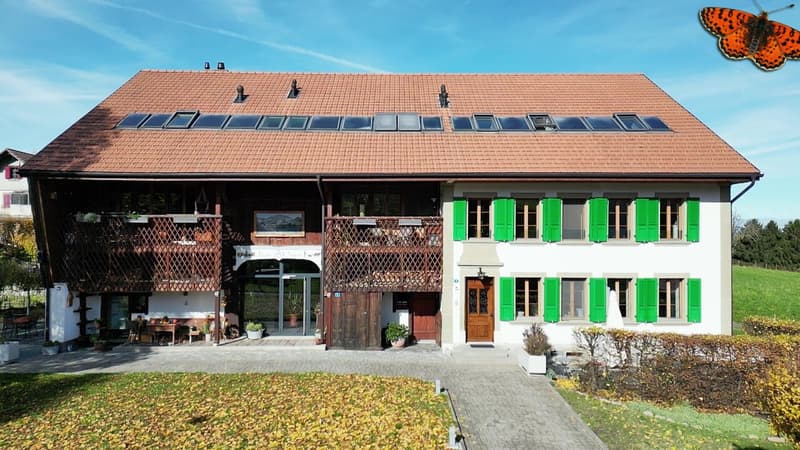 Spacieux 3,5 pièces rénové à Villarsiviriaux (10)