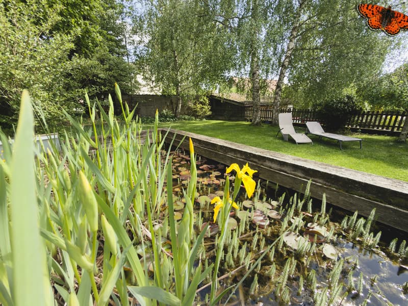 Jardin