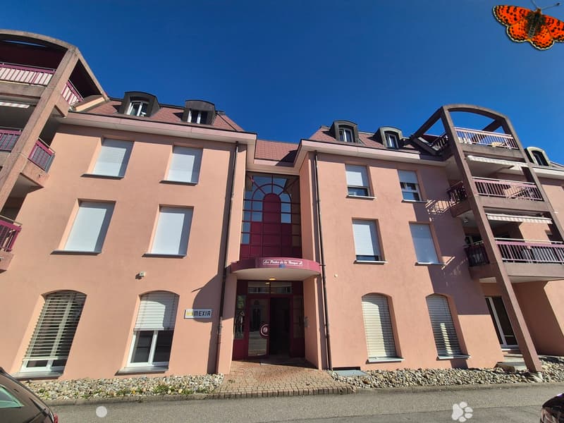 PRÄCHTIGE VERKAUFSFLÄCHE VON 236m² (3)