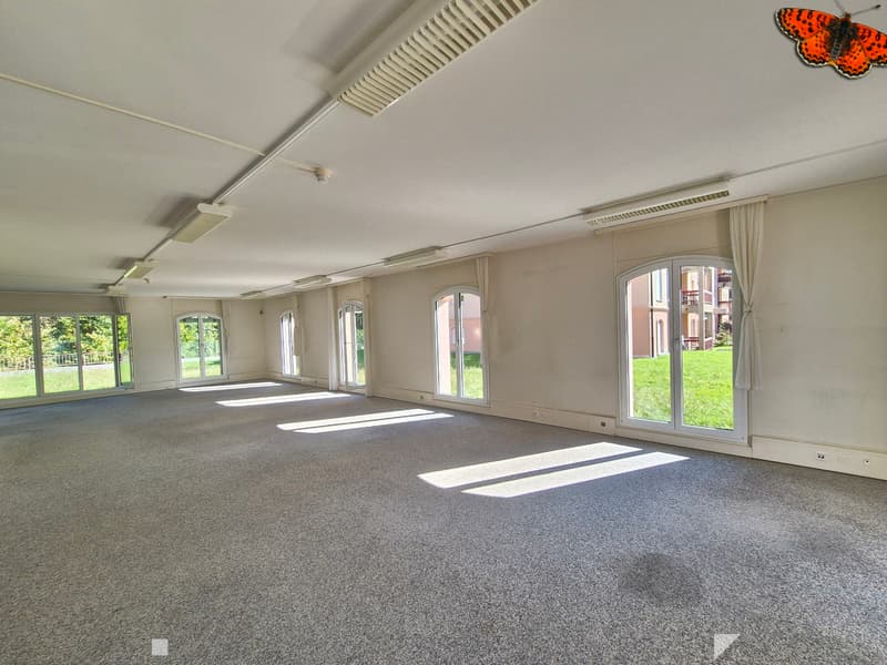 PRÄCHTIGE VERKAUFSFLÄCHE VON 236m² (6)