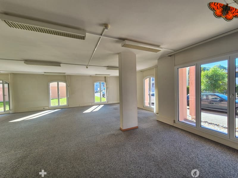 PRÄCHTIGE VERKAUFSFLÄCHE VON 236m² (5)
