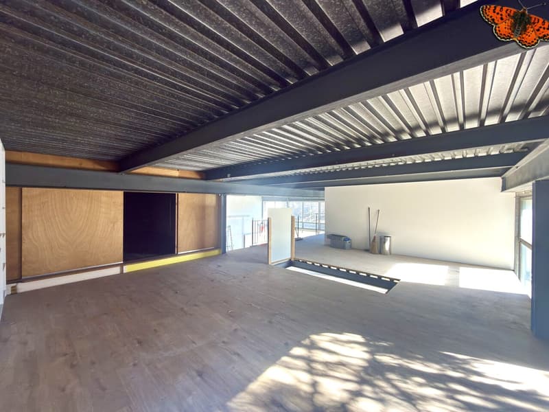 Commercial space with high visibility (7)