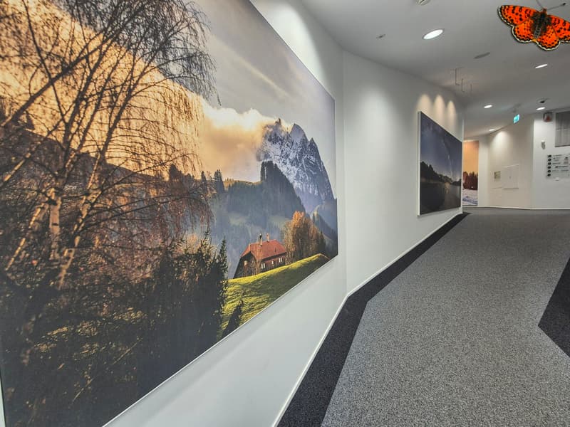 OPPORTUNITY - LARGE OFFICES FOR RENT - BULLE (5)