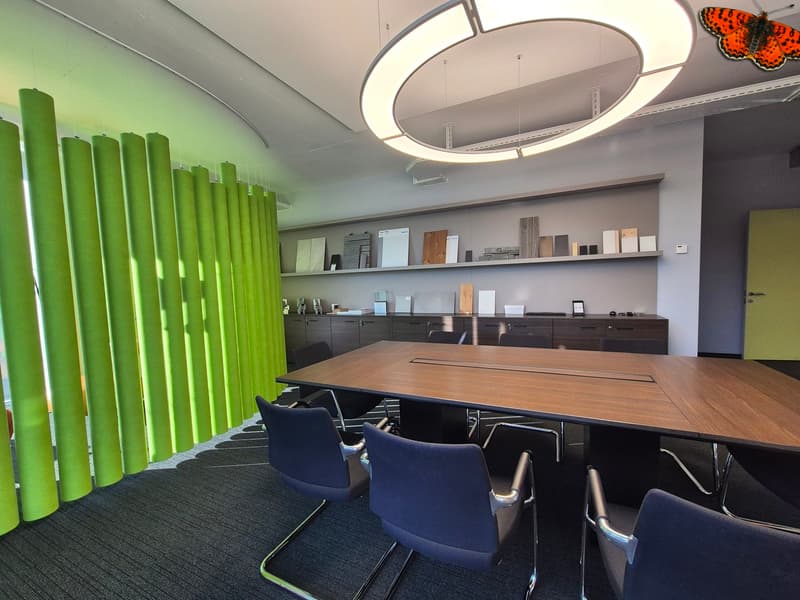 OPPORTUNITY - LARGE OFFICES FOR RENT - BULLE (10)