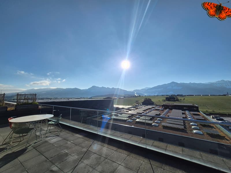 OPPORTUNITY - LARGE OFFICES FOR RENT - BULLE (2)