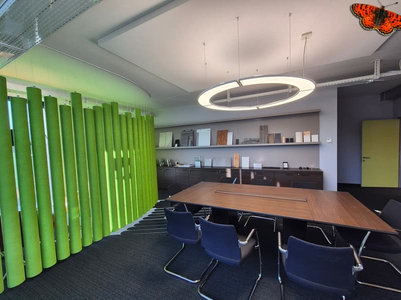 OPPORTUNITY - LARGE OFFICES FOR RENT - BULLE (12)