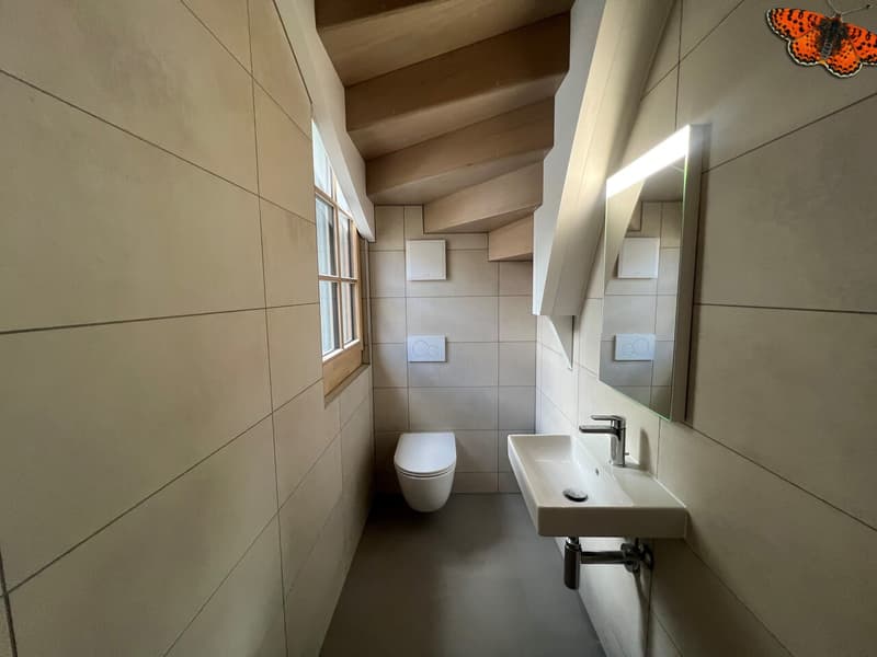 Una piccola casa su tre piani a Romont (13)