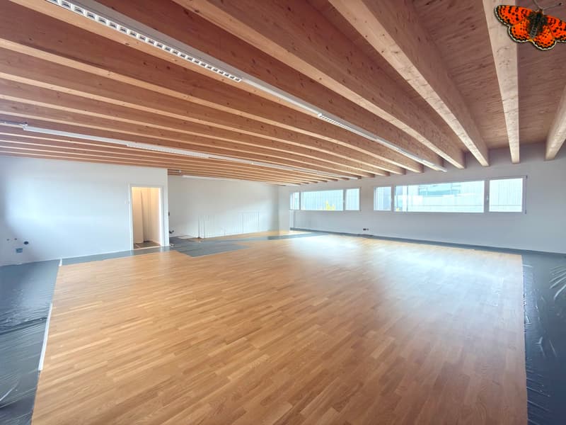 Modern and bright offices in a renowned neighborhood! (5)