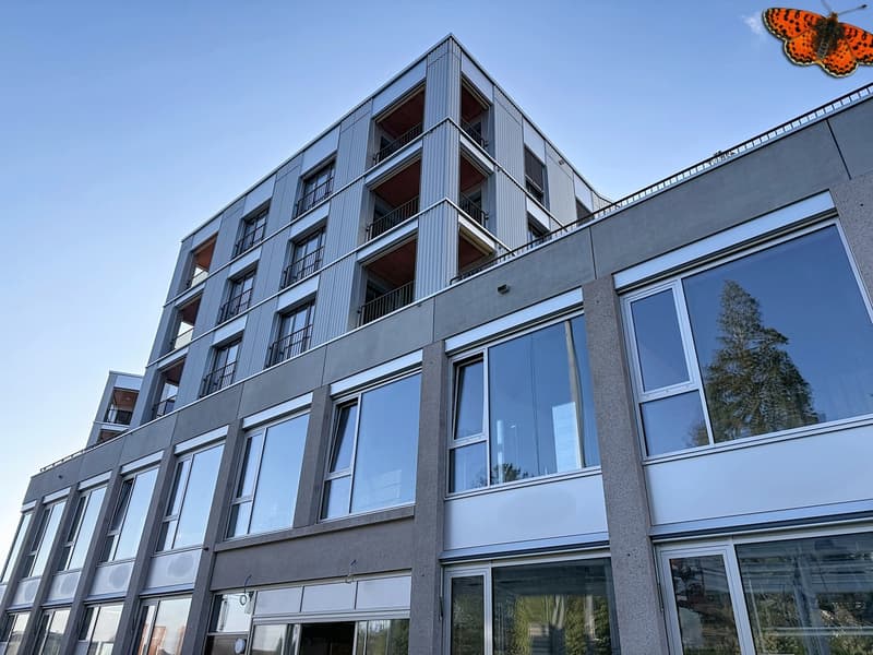 Immeuble
