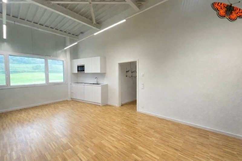 Atelier in Duplex con Superficie Amministrativa (3)