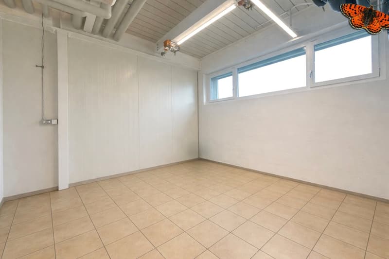 Atelier in Duplex con Superficie Amministrativa (2)
