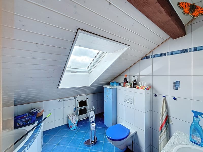 Charming semi-detached house with lovely building plot (10)