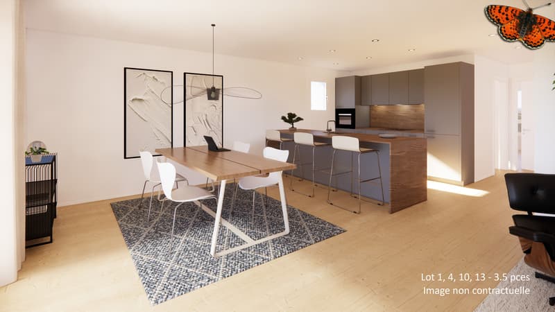 Beautiful 3½ with large terrace and private garden overlooking the Préalpes (4)