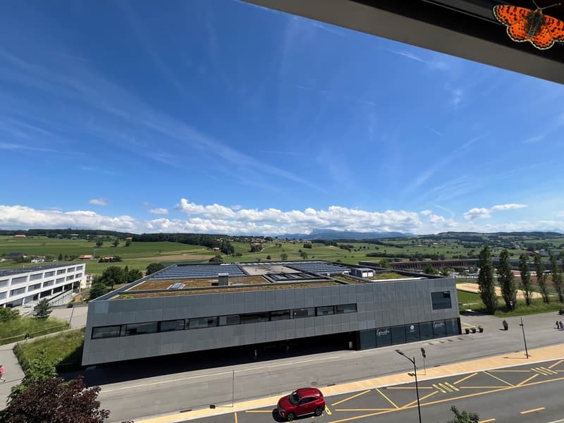 Vue